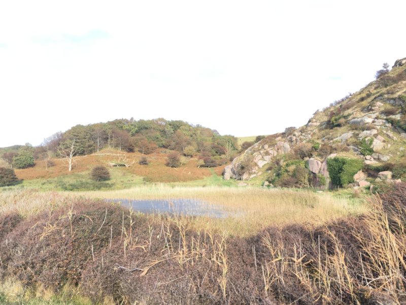 Bornholm – A Lovely Danish Island